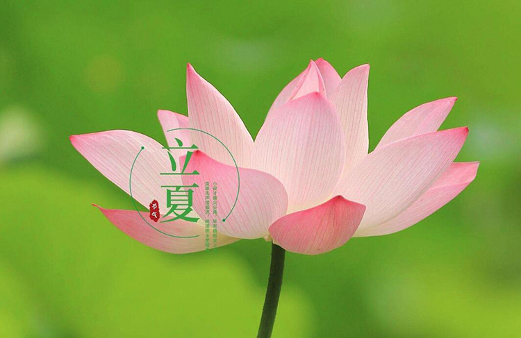 恩博士書包,恩典箱包,包包生產(chǎn)廠家,廣東恩典科技