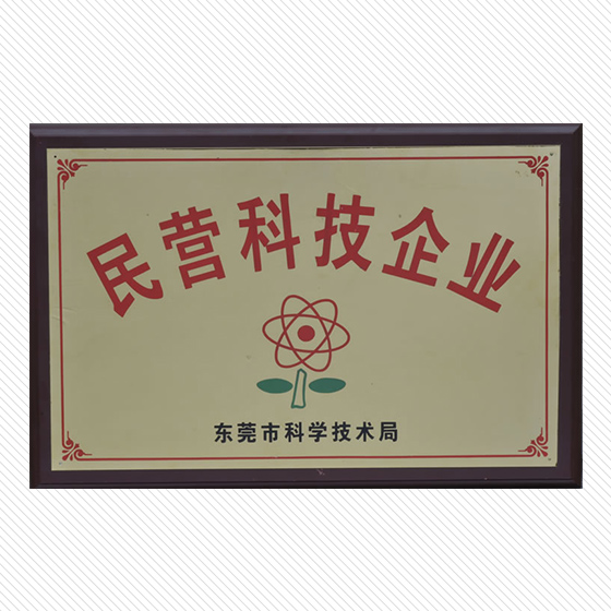 民營(yíng)科技企業(yè)