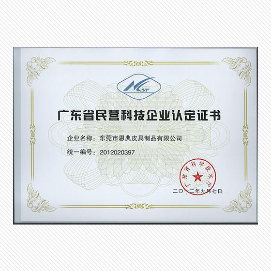 廣東省民營(yíng)科技企業(yè)認(rèn)定證書