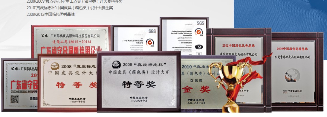 定做雙肩包,恩典科技,定制雙肩包,廣東雙肩包生產(chǎn)廠